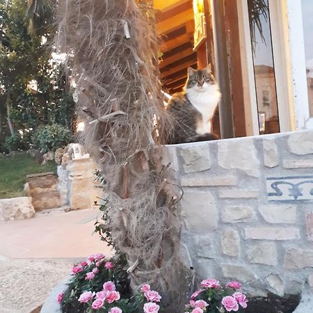 Perla Bed and Breakfast Gussago Buitenkant foto
