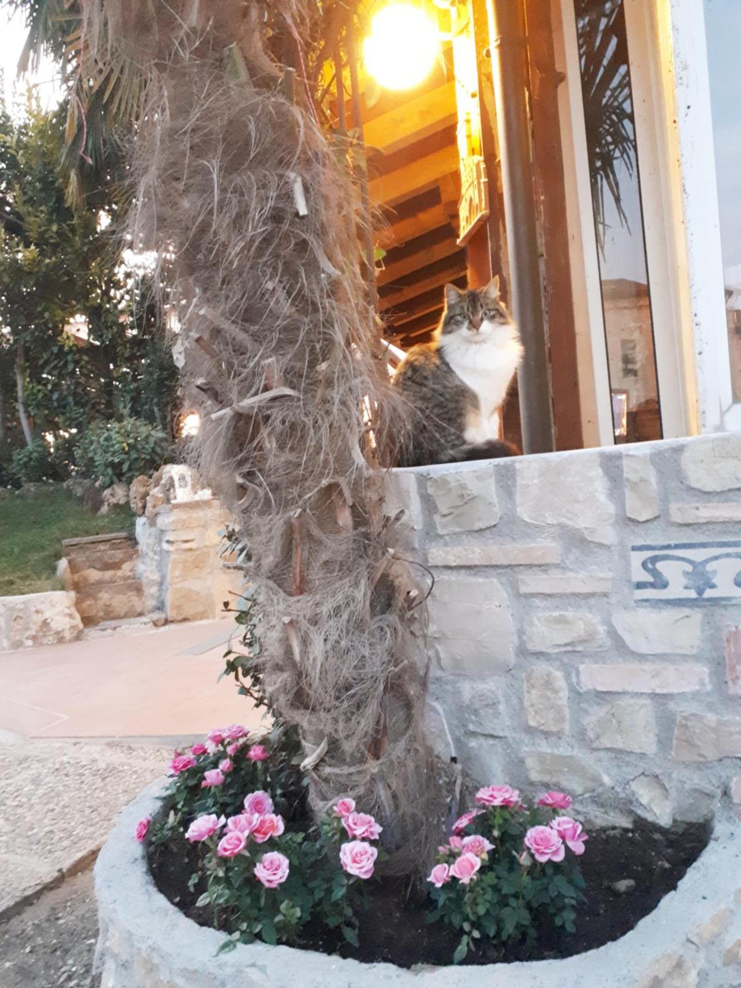 Perla Bed and Breakfast Gussago Buitenkant foto